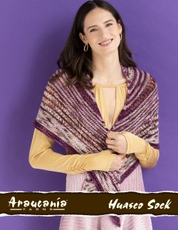 Araucania Huasco Color Hand-Painted 50-55% Off Sale at Little Knits!