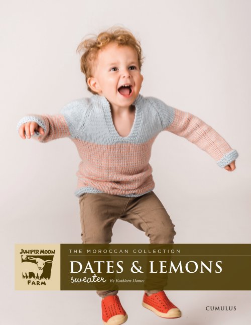 Model photograph of "Dates & Lemons Sweater"