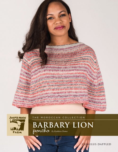 Model photograph of "Barbary Lion Poncho"