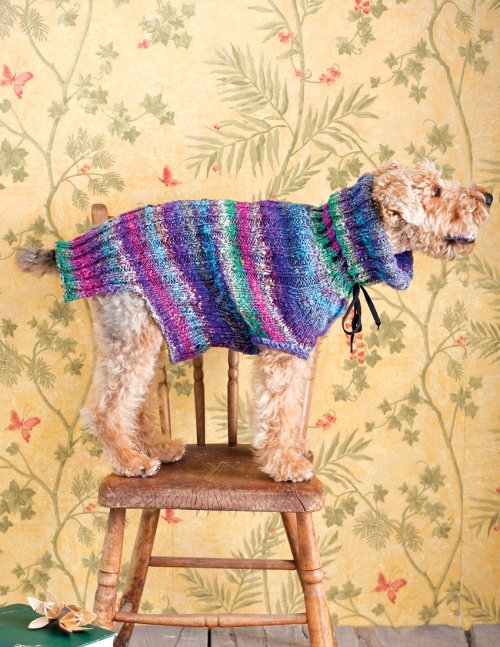 image preview of design '24 - Dog Sweater'