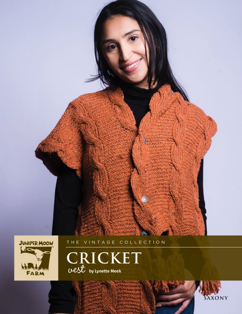 image preview of design 'Cricket Vest'
