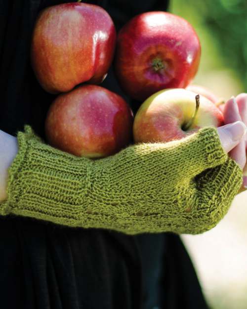 image preview of design ''Meadow Vale' Mitts'