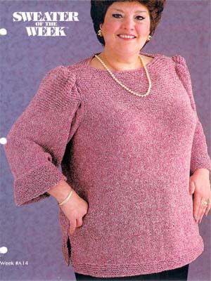Model photograph of "Nuna/Dynasty Plus Size Pullover"