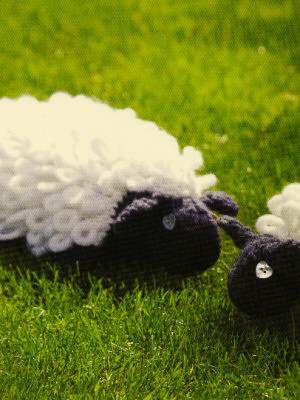Model photograph of "Sheep"